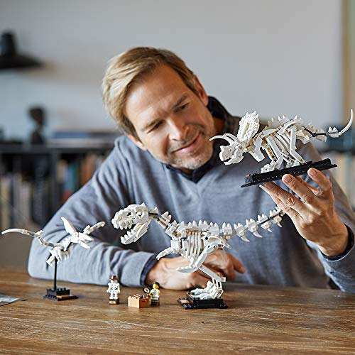 Kit De Construcción De Fósiles De Dinosaurios Lego Ideas 213