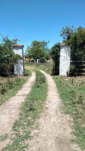 Lote De Terreno En Los Hornos