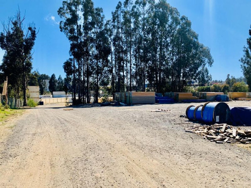 Arriendo Sitio 5.900 Mt2 Placilla