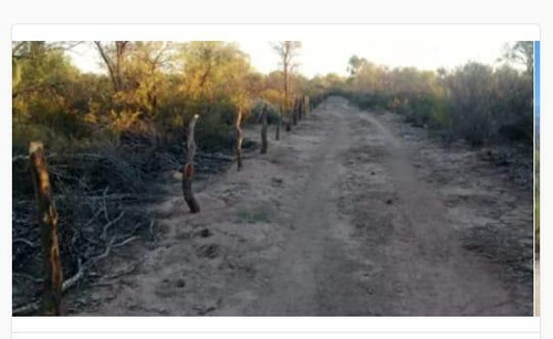 Imagen 14 de 19 de Campo - El Chacho
