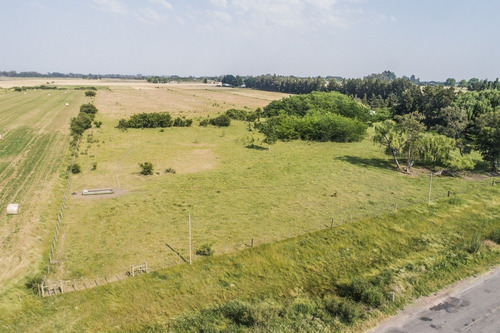 Chacras Venta 4,7 Has Residenciales-productivas Carmelo
