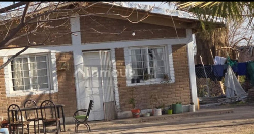 Venta De Finca Productiva En La Heras 31 Hs De Viñedos Y Riego Por Goteo