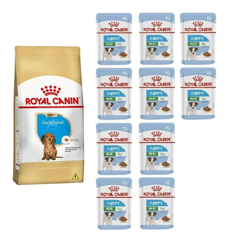 Kit Ração Dachshund Puppy 2,5kg E 10 Sachês Mini Royal Canin