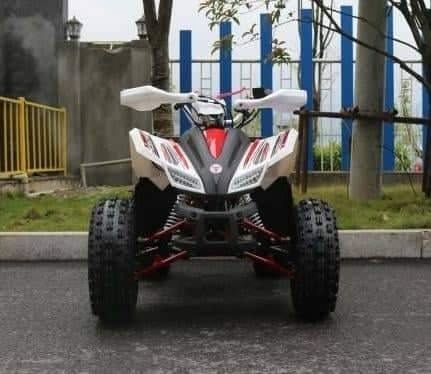 Imagen 2 de 20 de Cuatrimoto Coyote 125cc Automatica 0 Klm 2023