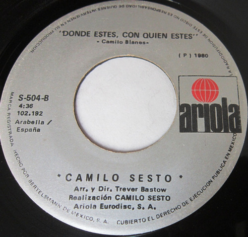 Camilo Sesto - Perdoname Single 7 Lp (Usado)