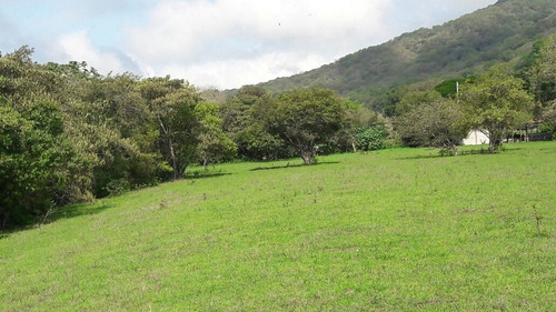 Imagen 12 de 14 de Rancho En El Tuito Jalisco, 21 Ha.