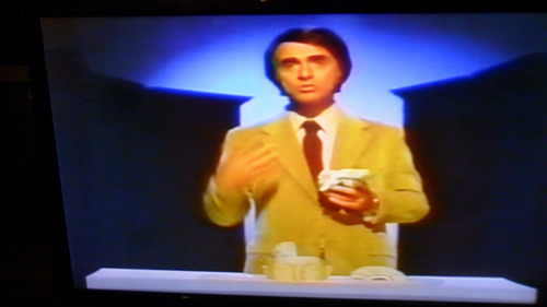 Vhs Carl Sagan- Cosmos- Cap.11 La Persistencia De La Memoria (Usado)