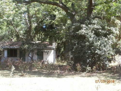 Imagen 17 de 25 de Campo Alto A 60 Km Del Ovelisco 376 Hectareas Con Mejoras