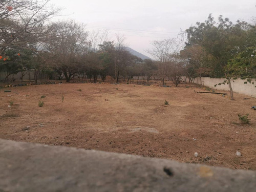 Imagen 3 de 4 de Terreno - Plan De Ayala