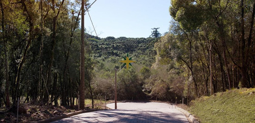 Imagem 5 de 16 de Terreno A Venda - 1081
