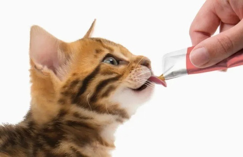 Snack para gatos Catit Creamy sabor atún 4 tubos
