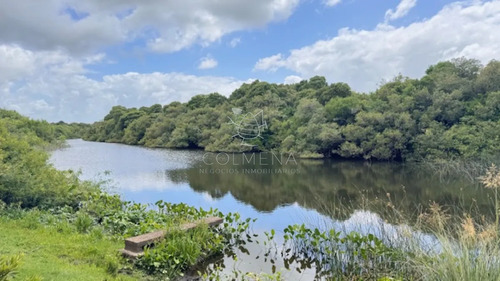 Campo 18 Has Con Casa En Los Ceibos Y Costa De Arroyo.