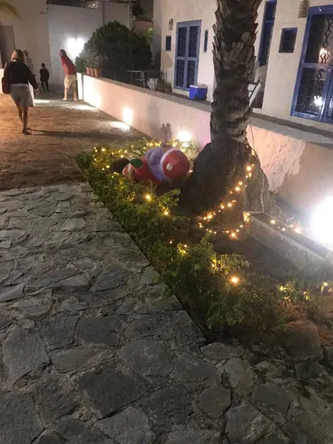 Planta Baja De Oportunidad