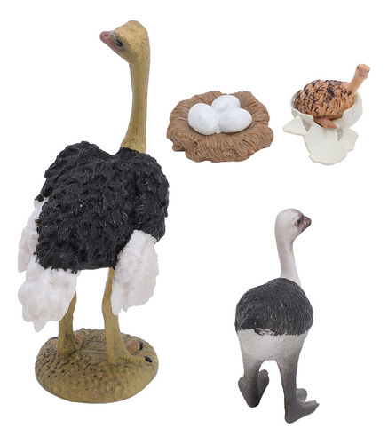 Figura De Pvc Con Forma De Ciclo De Vida De Avestruz, Animal