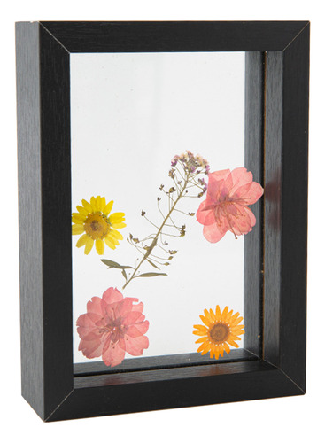 Marco Para Muestras De Flores Y Hojas Secas Con Marco De Cri