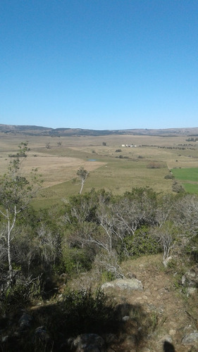 Campo De 80 Hectáreas En Lavalleja, Cerca De Minas