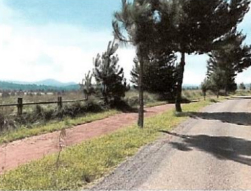 Los Reflejos Terreno Venta Tlatalpa Jalisco