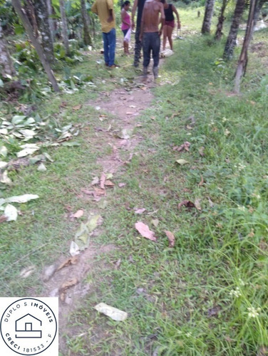 Imagem 11 de 16 de Chácara Em Itanhaém , Bairro Vergara , Isolada, Lado Morro - 6530 - 69937489