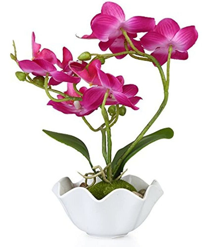 Mygift Flor De Orquídea Phalaenopsis De Seda Artificial Deco
