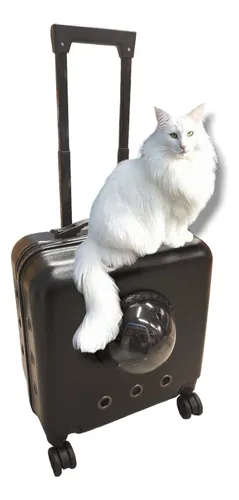 Valija para gatos new arrivals