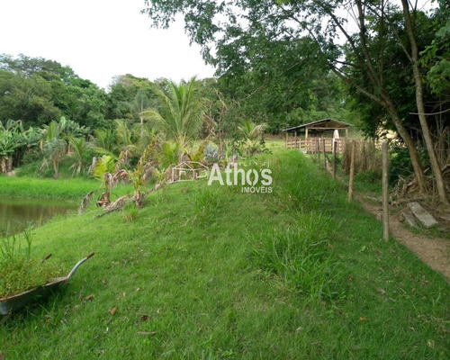 Imagem 7 de 12 de Vendo Sitio Em Elias Fausto - St00031 - 69569371