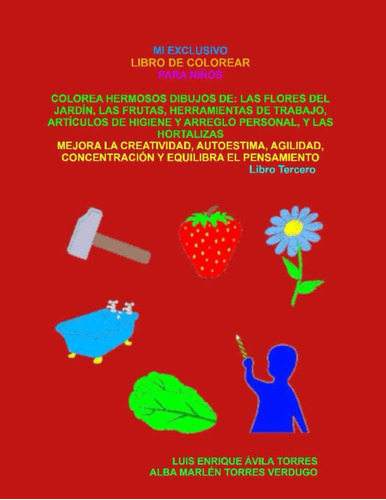 Libro: Mi Exclusivo Libro De Colorear Para Niños: Colorea He