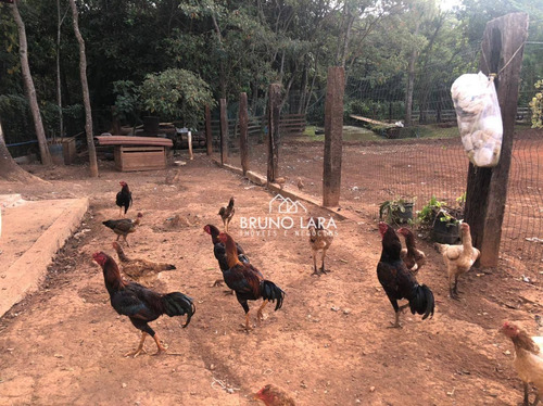 Imagem 19 de 19 de Chácara À Venda Em Igarapé, Bairro Batatal, - Te0261