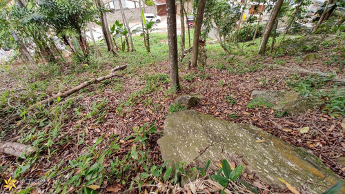 Imagem 18 de 18 de Terreno - Pq0119 - 70075542