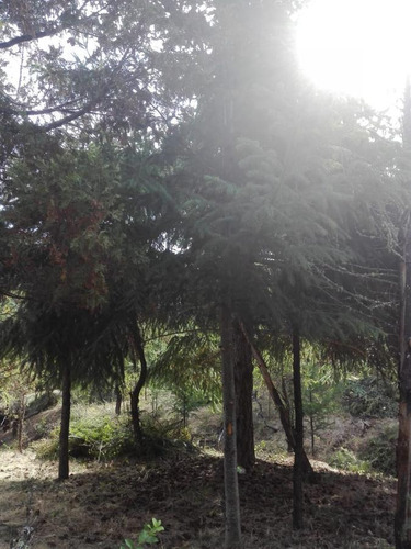 Terreno - Las Golondrinas