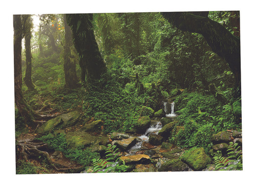 Cartaz Da Paisagem Do Aquário