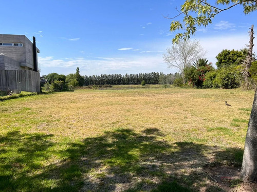 Lote En Venta Santa Catalina Villanueva