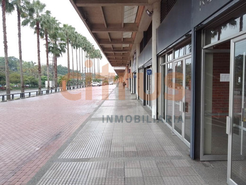 Local En Arriendo En Medellin - Guayabal