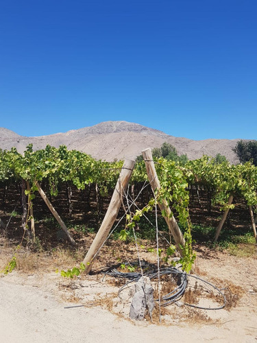 Terreno 10.000 M2, Urbano Valle De Elqui