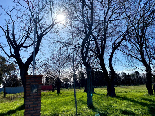Terreno En Mariano Acosta