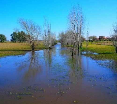 Imagen 2 de 8 de Lote En Venta En Lujan. Open Door