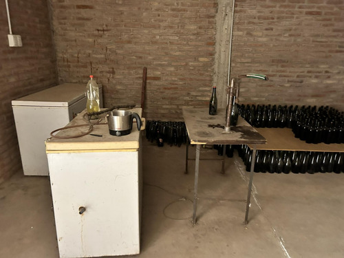 Finca, Bodega Artesanal Y Casa En San Rafael, Medoza.