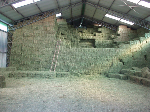 Alfalfa Fardos- Los Andes.