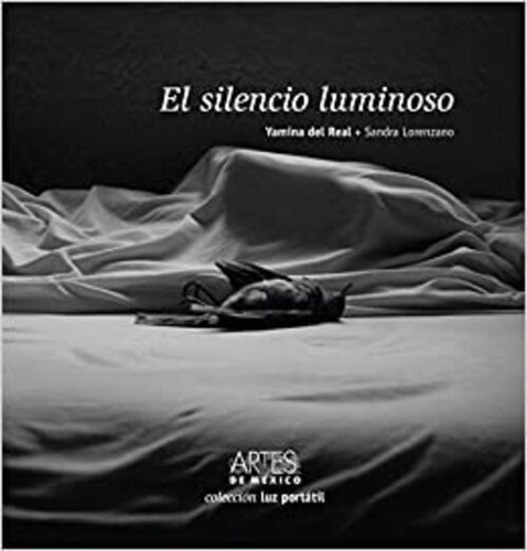 Libro El Silencio Luminosos *cjs