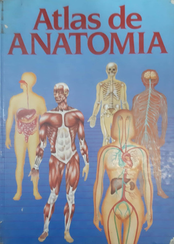 Atlas De Anatomía Eric Ortega Edibooks Usado #