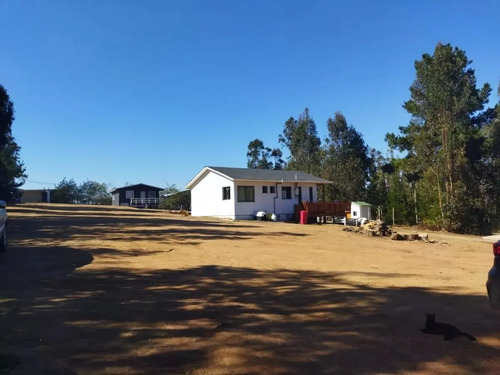 Venta De Parcela En Fundo La Petrilla, Algarrobo