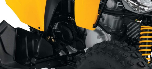 Can Am Ds 250 0km Automoto Lanus