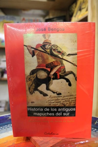 Historia De Los Antiguos Mapuches Del Sur - José Bengoa