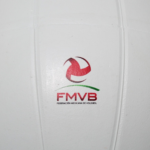 Balón Voleibol Molten V58r Hule Natural