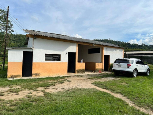 Imagen 12 de 15 de Rp Vende Finca Granja Avícola, Miranda, Estado Carabobo Rp 185.862