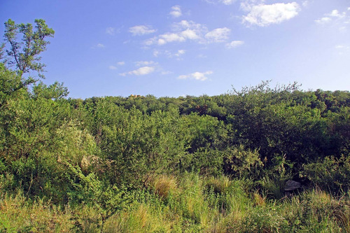 Imagen 5 de 14 de Venta De Lotes En Carpinteria El Mollar De La Cañada