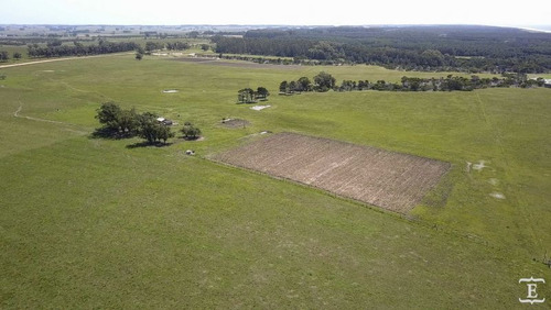 Campo En Venta