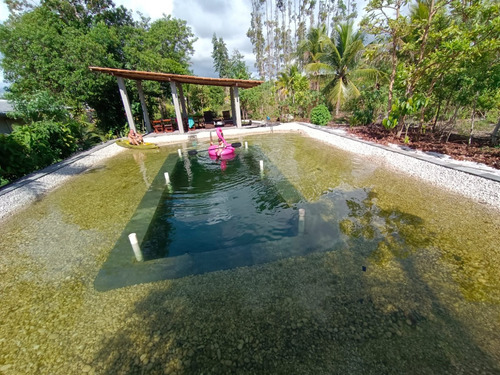 Fazenda Com 5,5ha A Casa Tem 495m2 Construído Em 2 Andares. Piscina Natural. O Imóvel E Perfeito Para Plantar Café Ou Cacau