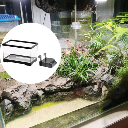 Turtle Tank Aquarium Tortoise Recinter Starter M Con Negro