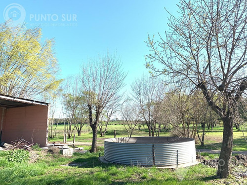 Local - Otras