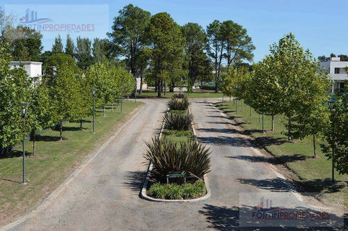 Imagen 3 de 7 de Terreno - Fincas De Duggan